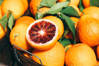 High angle view of citrus fruits