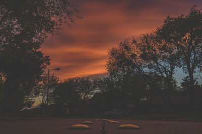 Silhouette trees against sky during sunset