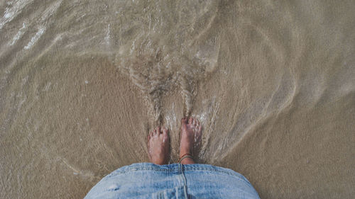 Low section of person on beach