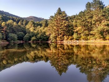 Wonderful water reflections with blue skies. 