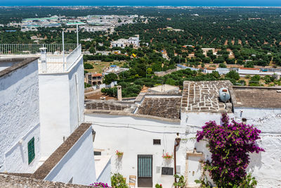 Glimpses of ancient puglia. the white city. ostuni.