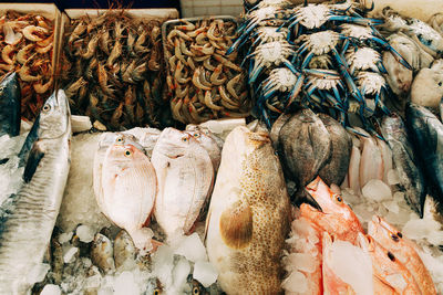 High angle view of seafood for sale