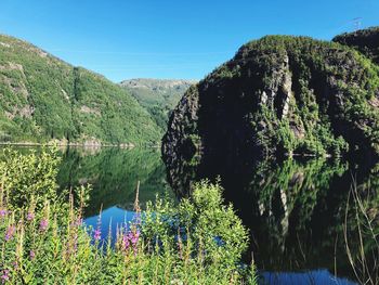 Scenic view of lake by trees against clear sky