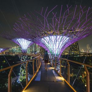 Illuminated bridge at night