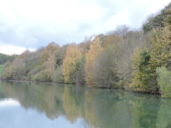 Scenic view of lake in forest against sky