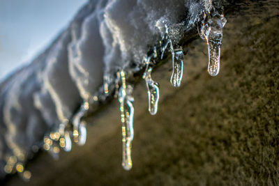 Close-up of water drop hanging from faucet