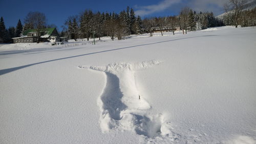 Scenic view of snow covered field