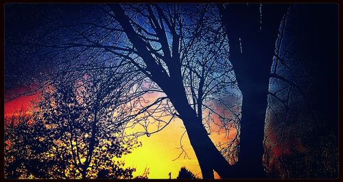 Low angle view of bare trees against sky at sunset