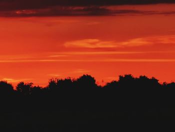 Silhouette trees against orange sky