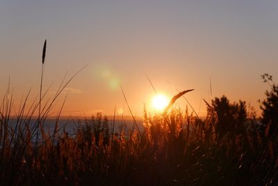 Scenic view of landscape at sunset