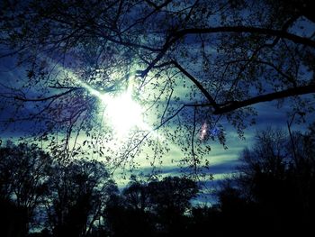 Low angle view of silhouette trees against sky