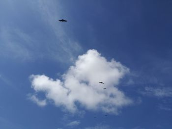 Low angle view of airplane flying in sky