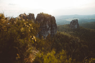 Scenic view of landscape against sky