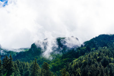 Scenic view of waterfall in forest against sky