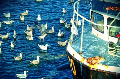 Boats in sea