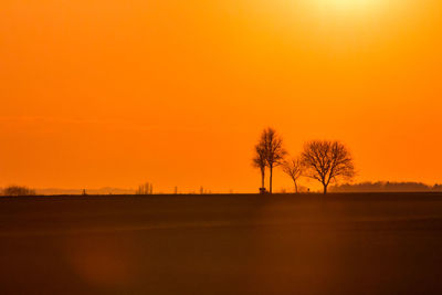 Silhouette trees on field against orange sky