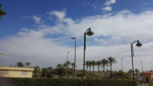 Palm trees against sky