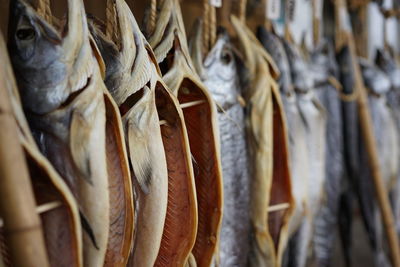 Dry salmons hanging for sale at fish market