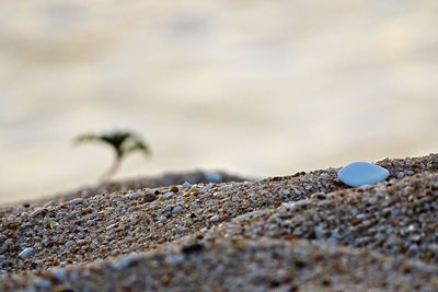 Close-up of sand on beach