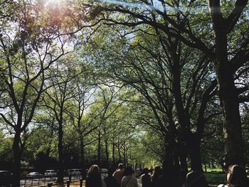 People by trees against sky