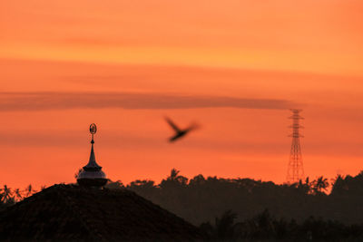 Silhouette of birds flying at sunset