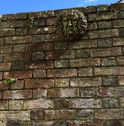 Low angle view of brick wall