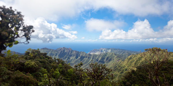 Panoramic view of trees and mountains against sky