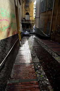 Wet cobblestone street