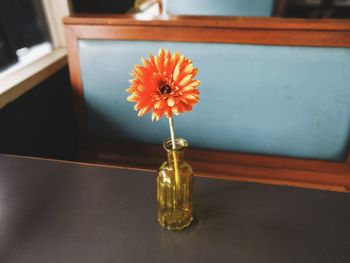 Close-up of vase on table at home