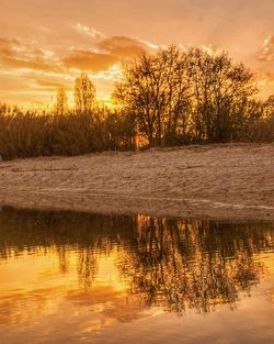 Trees by lake against sky during sunset