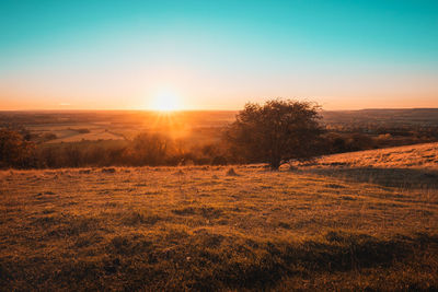 Scenic view of field against clear sky during sunset