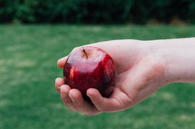 Close-up of hand holding apple on field