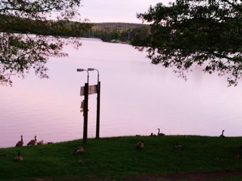 Scenic view of lake by field against sky