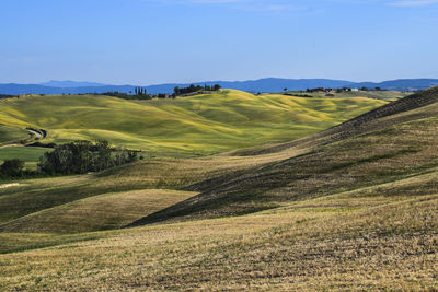 Scenic view of landscape against clear sky