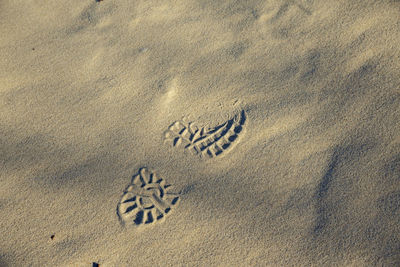 High angle view of footprints on sand