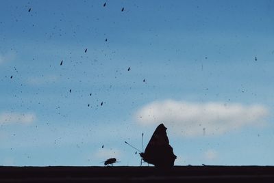 Low angle view of birds against blue sky