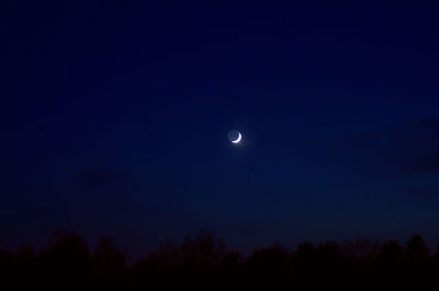 Low angle view of silhouette trees against sky at night