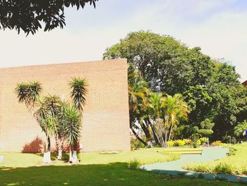 View of palm tree by building against sky