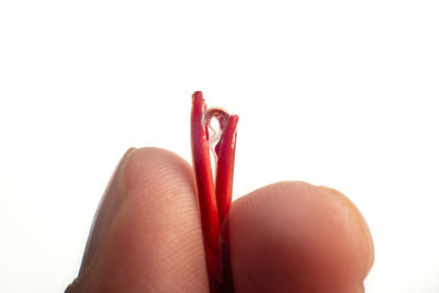 Close-up of hand holding red over white background