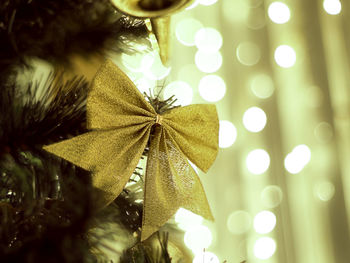 Close-up of christmas tree