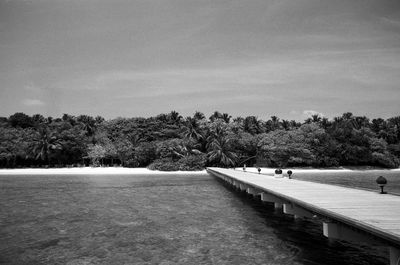 Reflection of trees in water