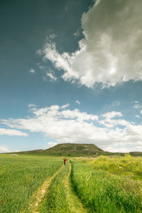 Scenic view of field against sky