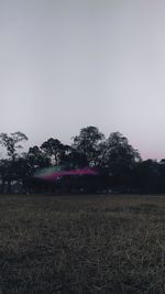 Scenic view of field against clear sky