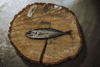 High angle view of bread on tree stump