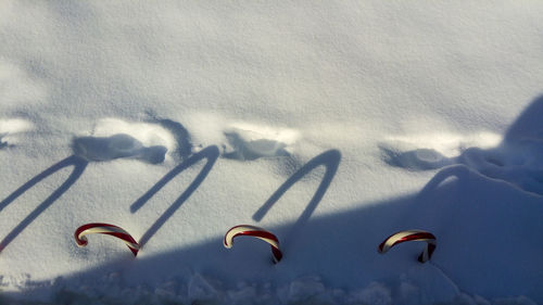 Scenic view of snow