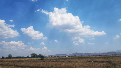 Scenic view of field against sky