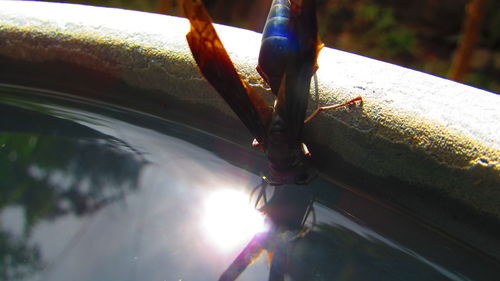 Low angle view of motorcycle on tree