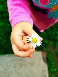 Close-up of hand holding pink flower