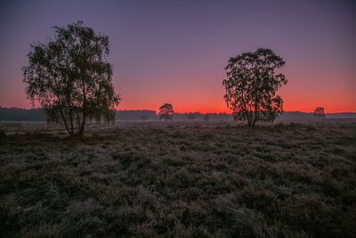 Silhouette trees on field against sky during sunset