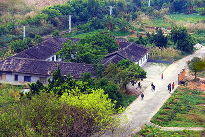 People walking in lawn